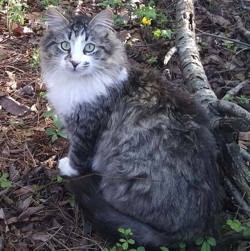 Meet your Posher, Angel